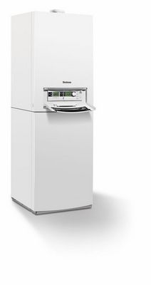 image (2)